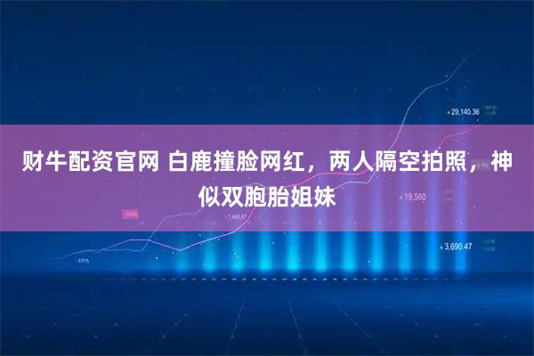 财牛配资官网 白鹿撞脸网红，两人隔空拍照，神似双胞胎姐妹